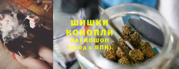 тгк Сатка