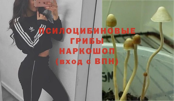 тгк Сатка