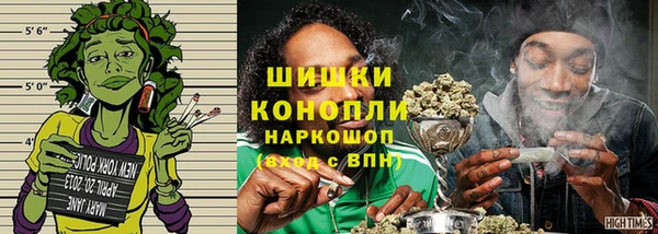 тгк Сатка