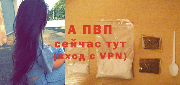 гашик Сафоново