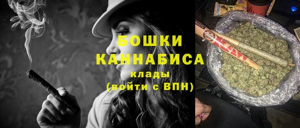 тгк Сатка