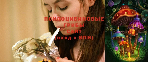 тгк Сатка