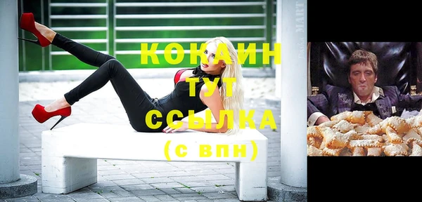 гашик Сафоново